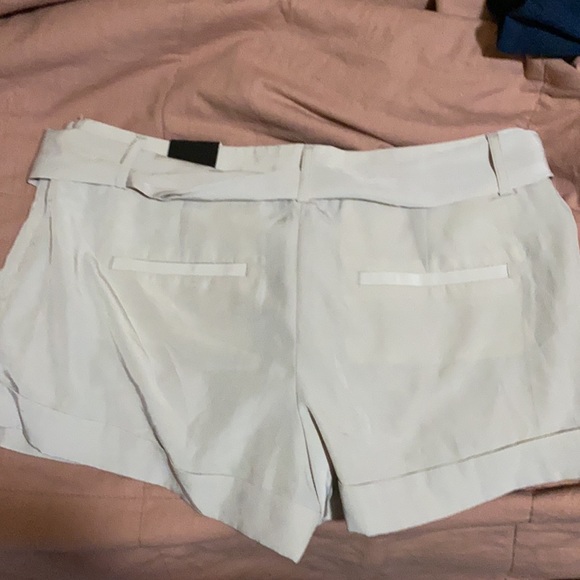 Express shorts - Picture 4 of 5